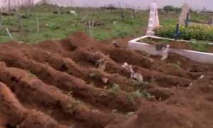 Covas rasas para enterros de indigentes em cemitérios de Maceió AL