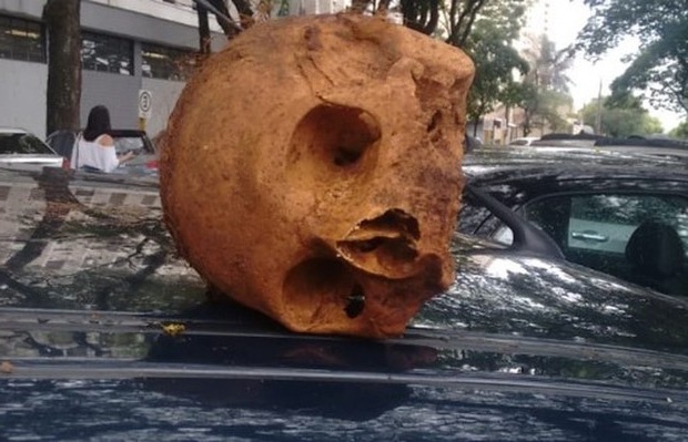 cranio-e-encontrado-em-cima-do-carro-em-araraquara-interior-de-sp